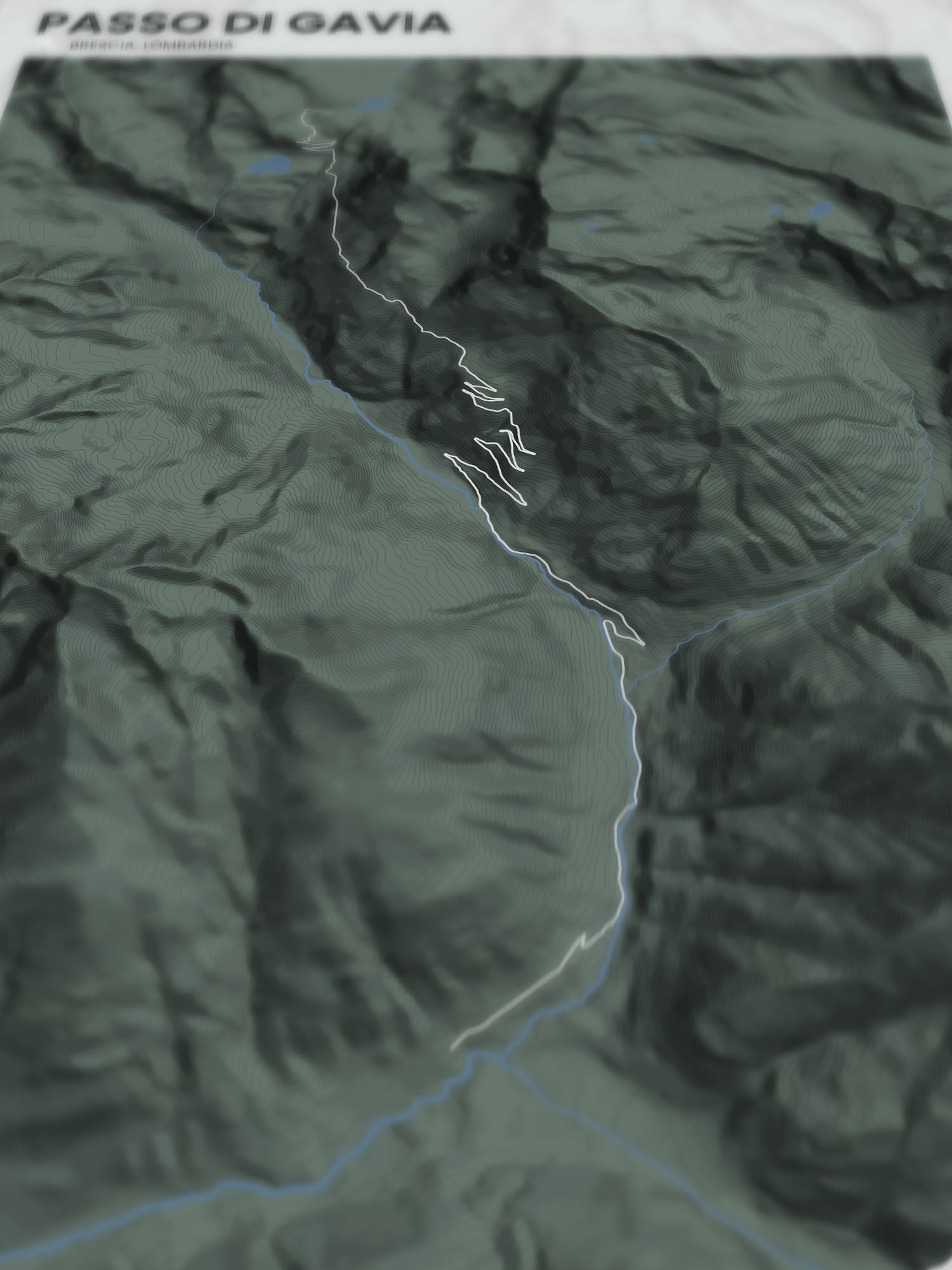 Passo di Gavia poster