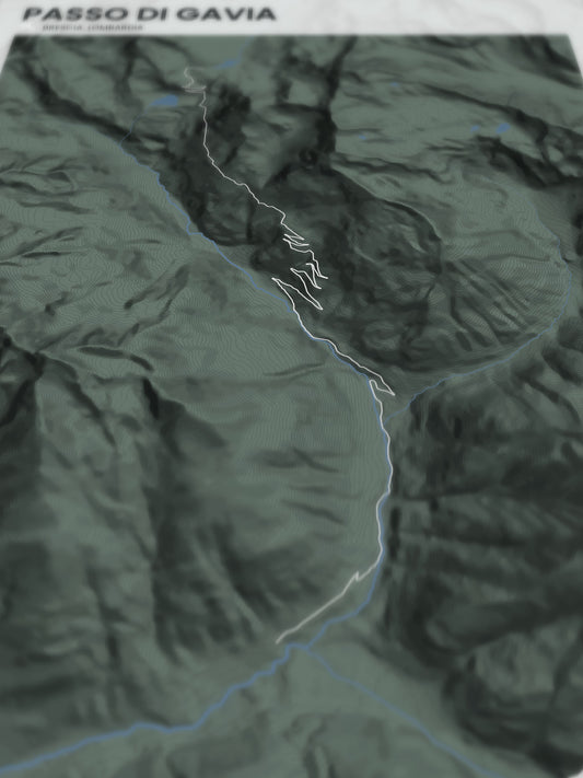 Passo di Gavia poster