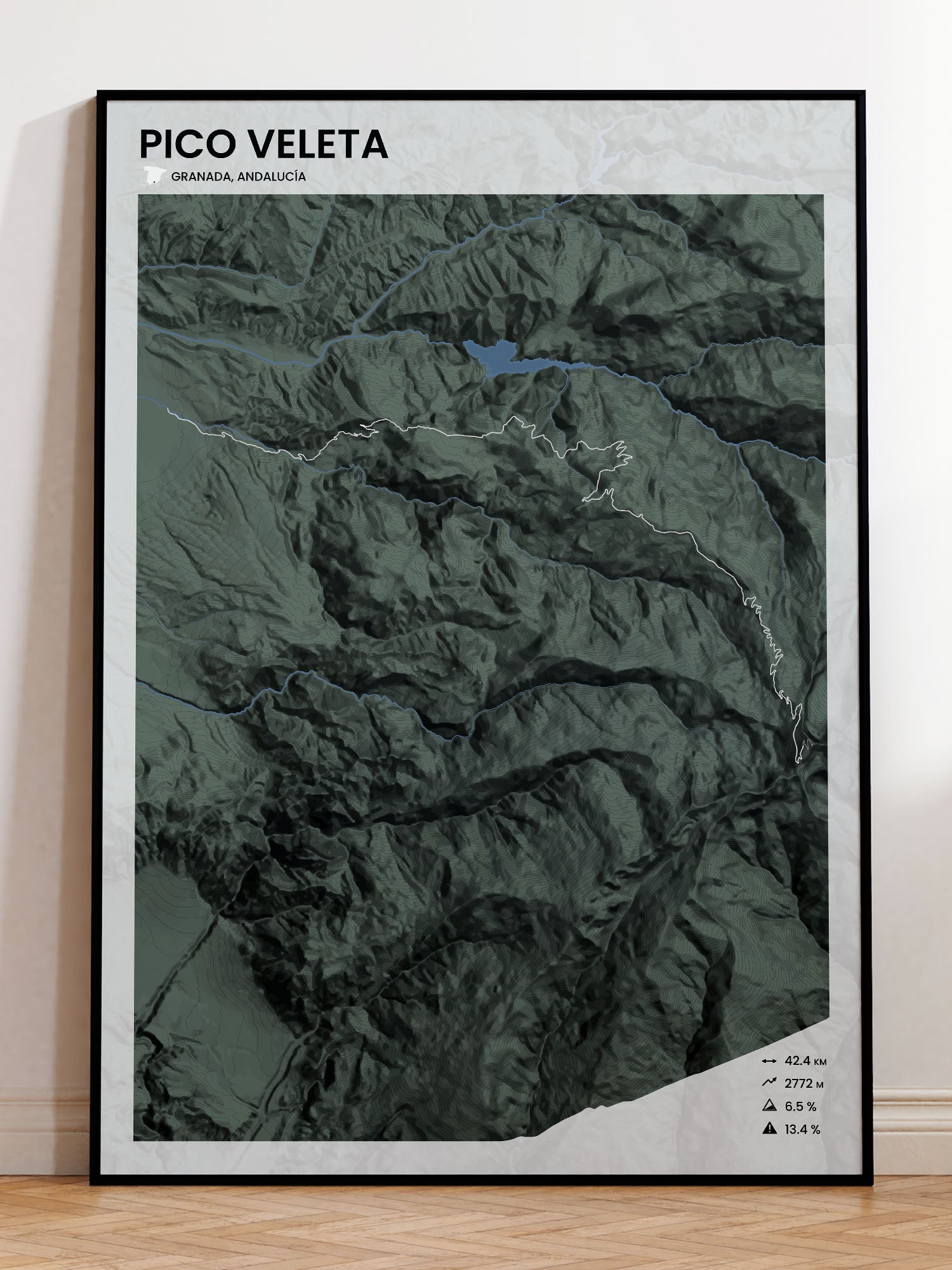 Pico Veleta poster