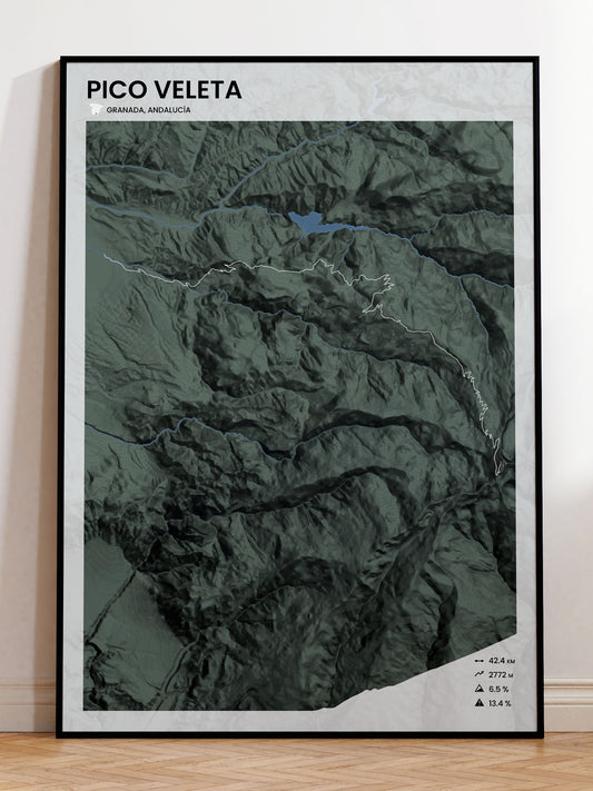 Pico Veleta poster