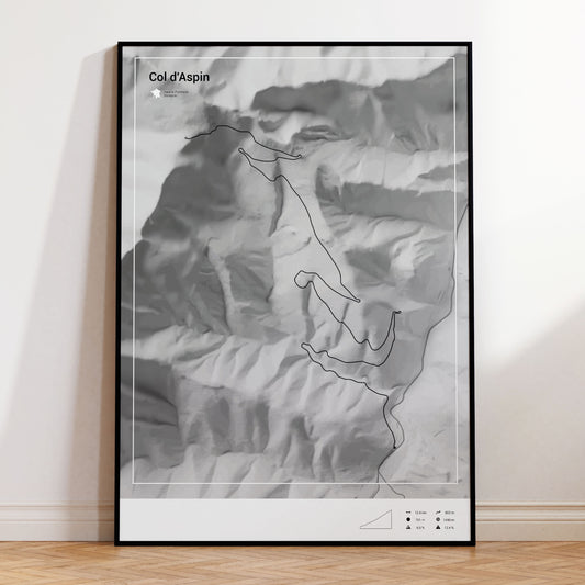 Col d'Aspin poster