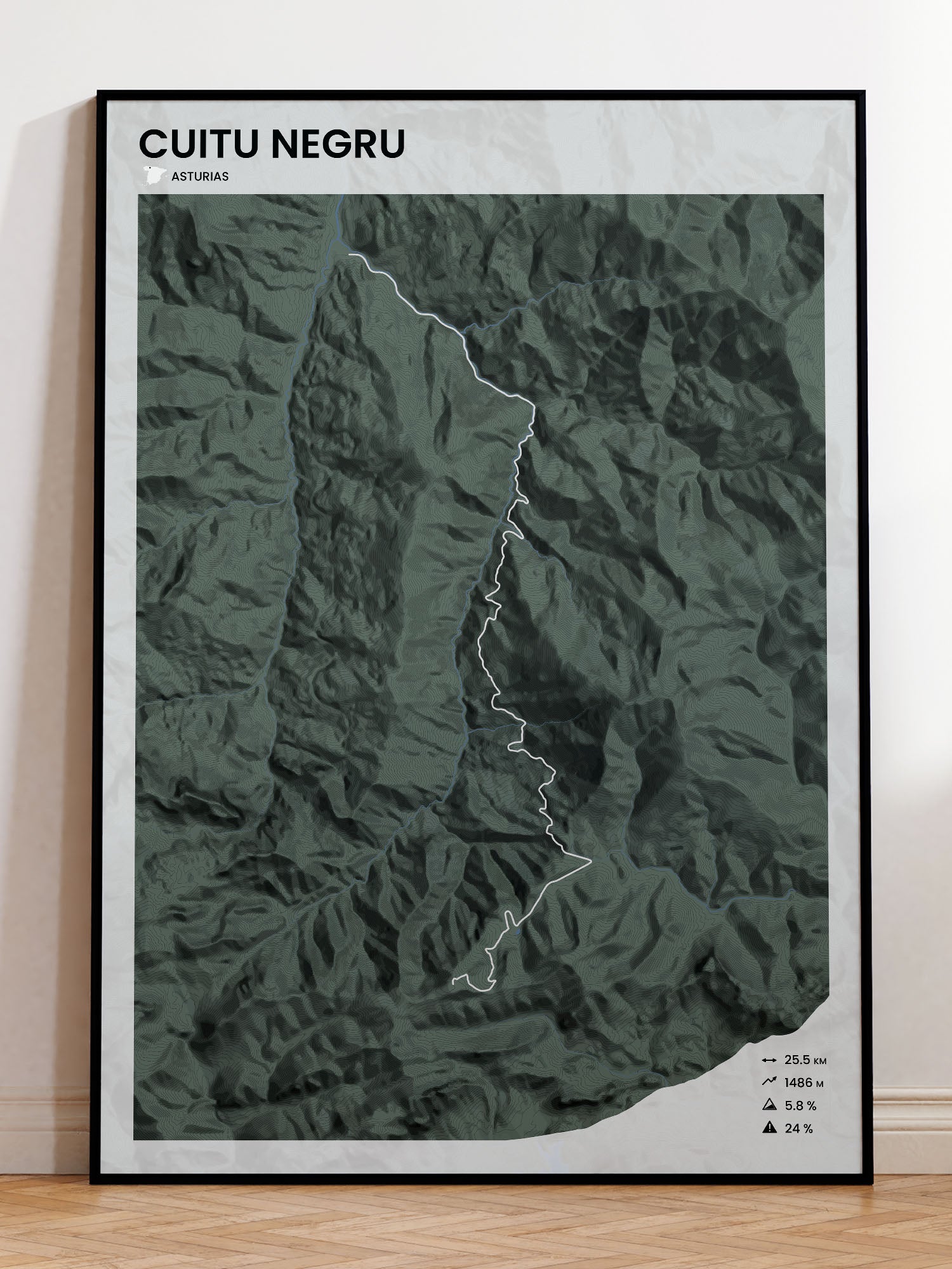 Cuitu Negru poster