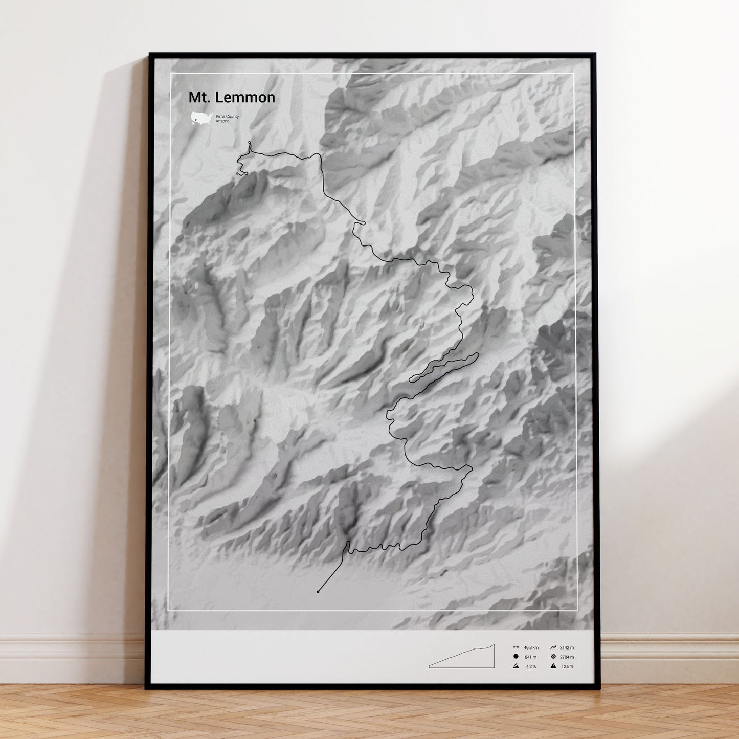 Mount Lemmon poster