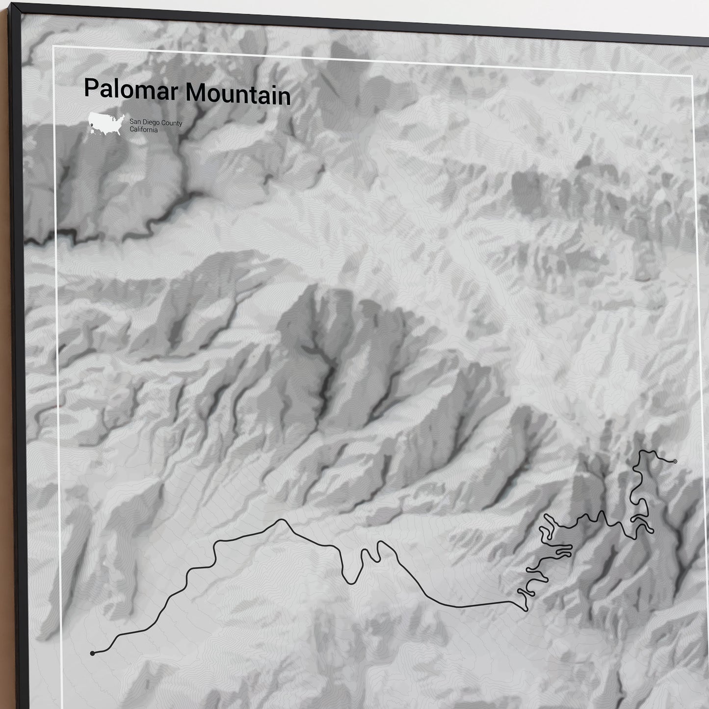 Palomar Mountain poster