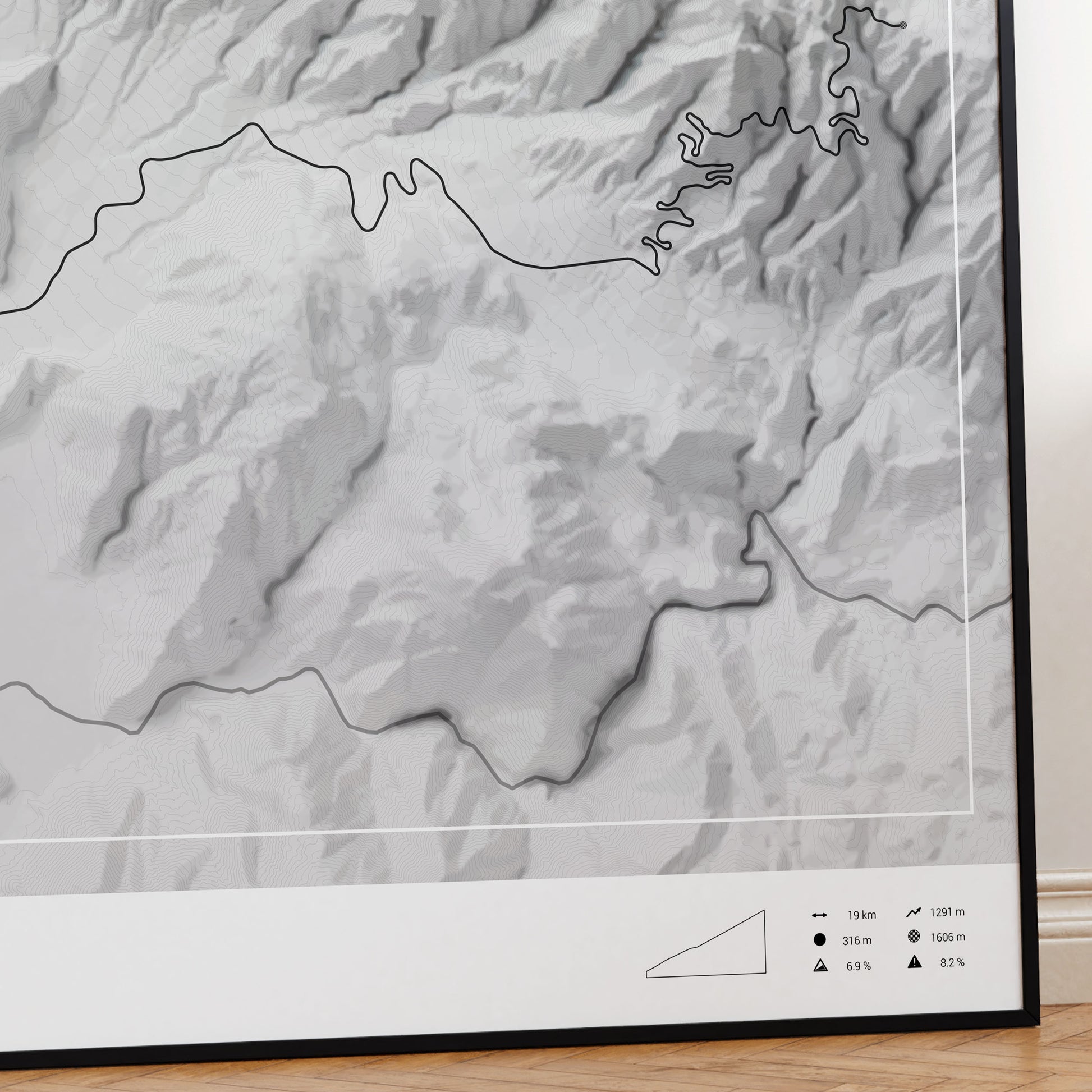 Palomar Mountain poster