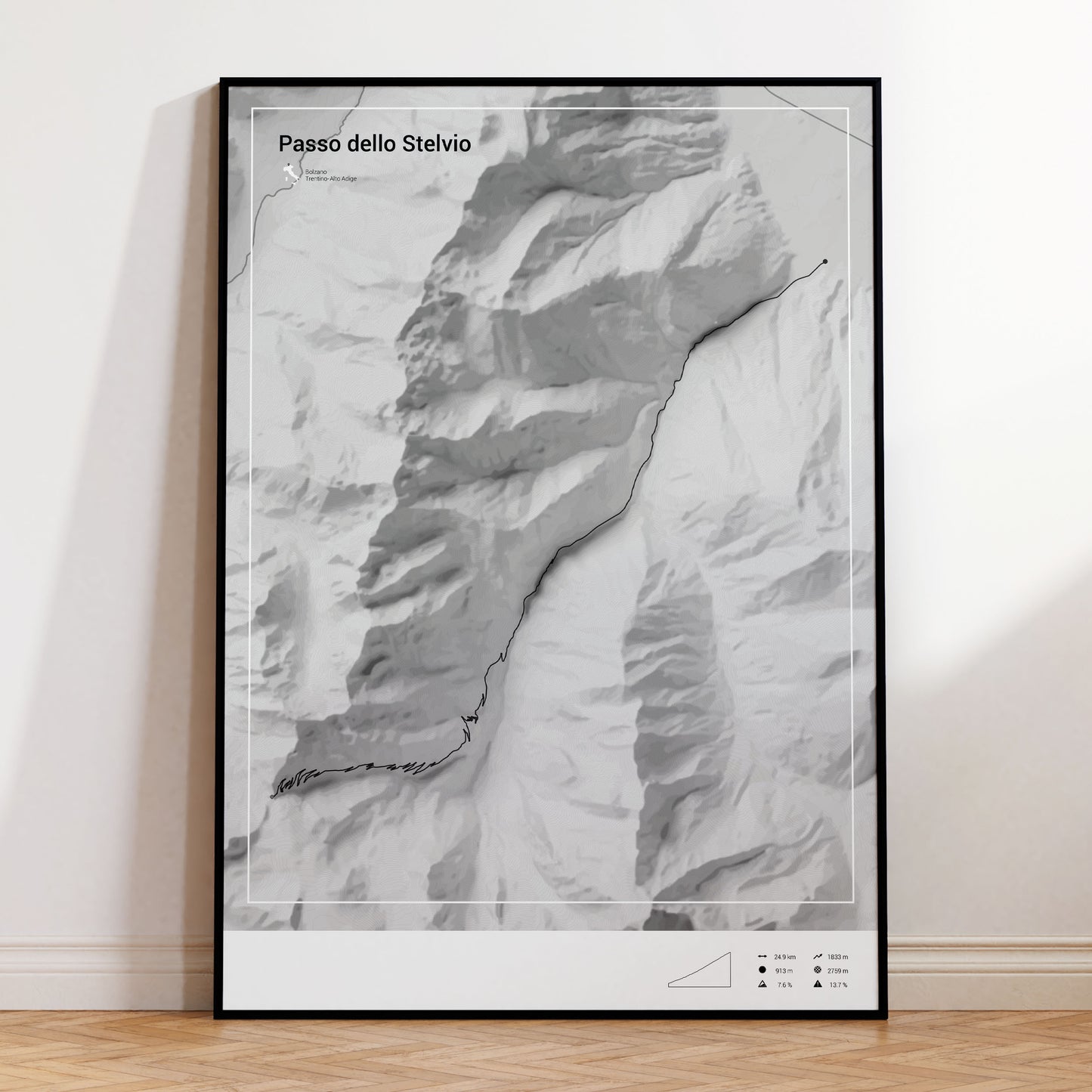 Passo dello Stelvio poster