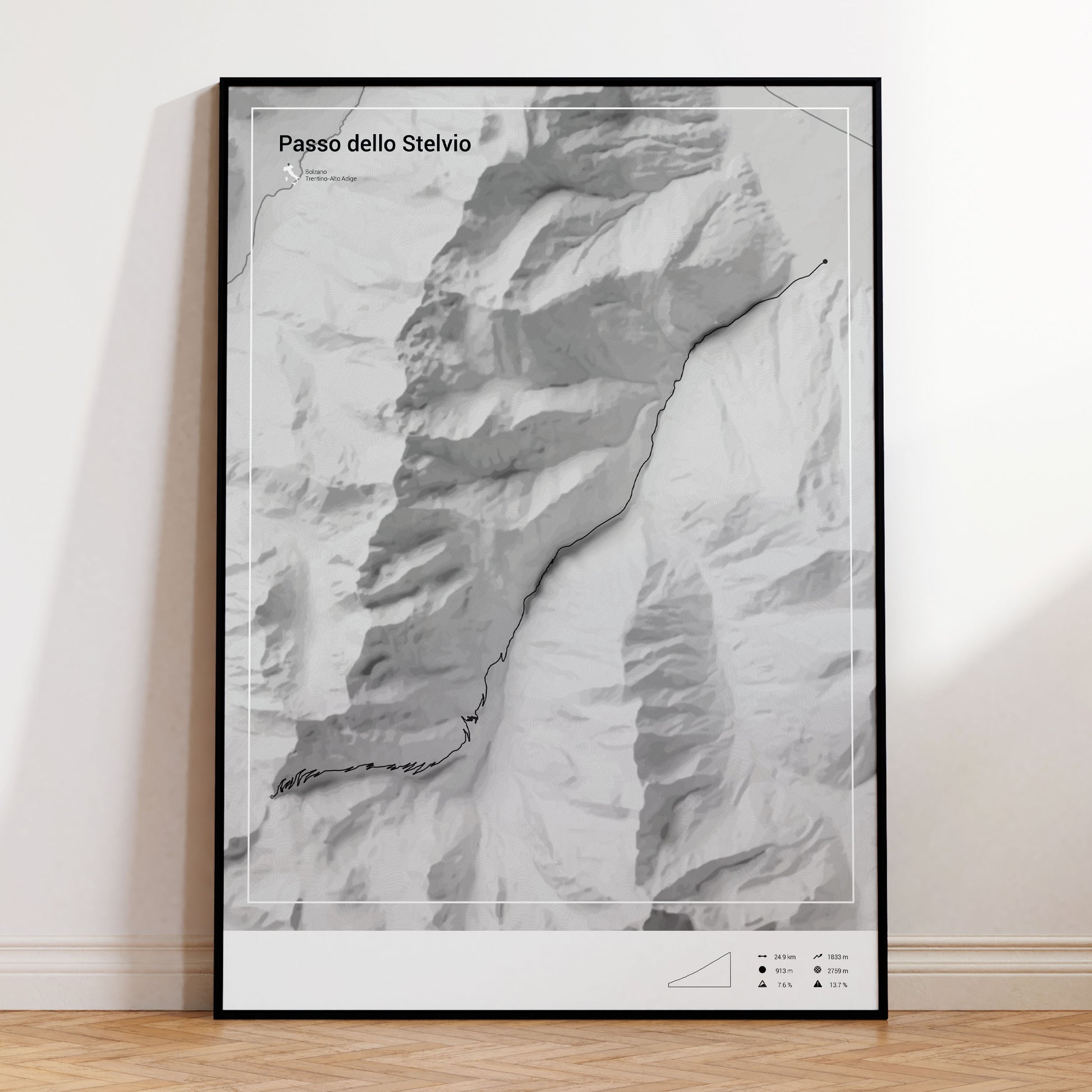 Passo dello Stelvio poster
